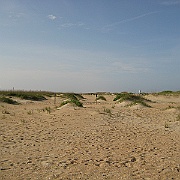 Picture 213